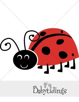 300x388 Go Broncos Clipart Collection