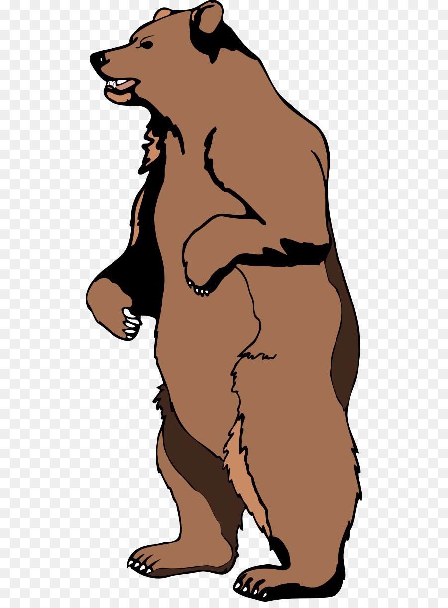 900x1220 Brown Bear Clipart