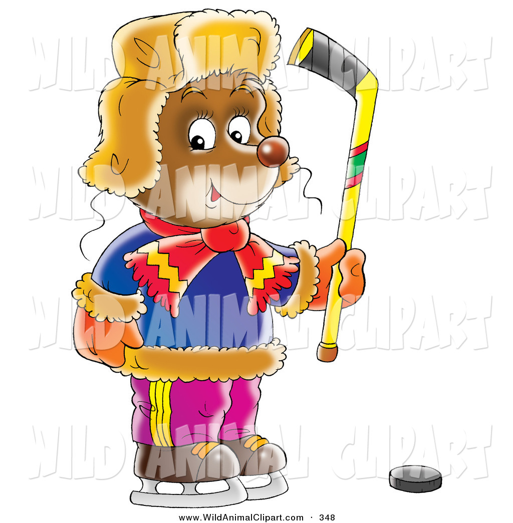 1024x1044 Royalty Free Brown Bear Stock Wildlife Designs