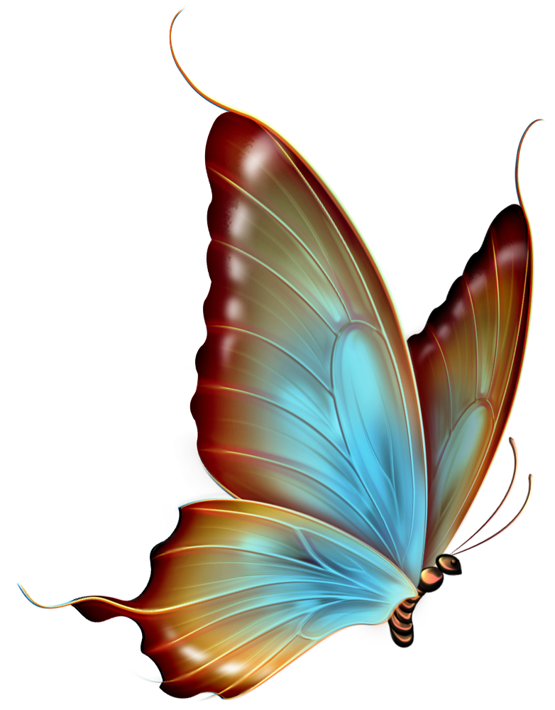782x1000 Brown And Blue Transparent Butterfly Clipart Butterfly
