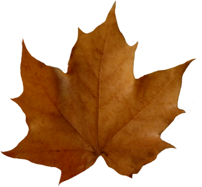 409x379 Fall Leaves Clip Art