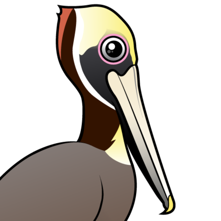 440x440 Cute Brown Pelican By Birdorable Lt Meet The Birds