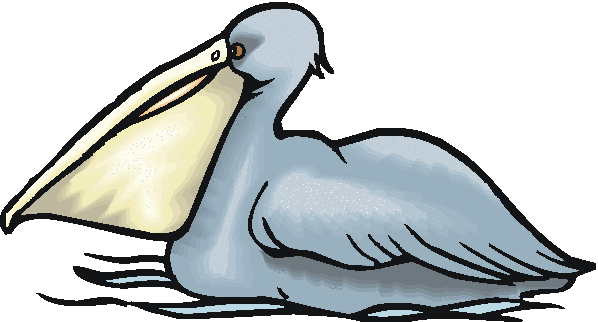 1200x646 Free Pelican Clipart