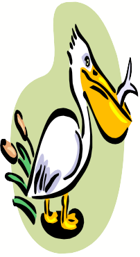 202x370 Pelican Rods