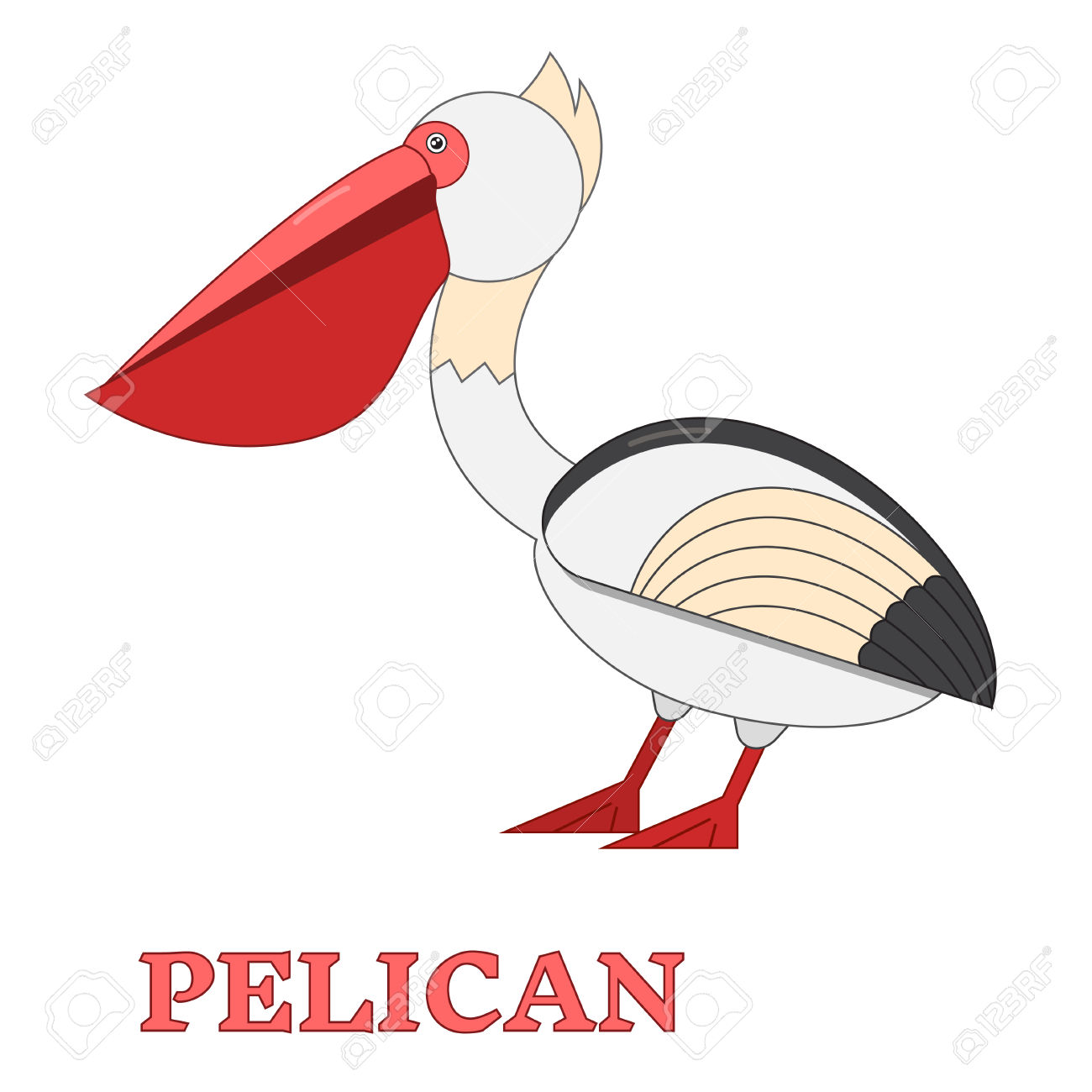 1300x1300 Sea Bird Clipart Pelican