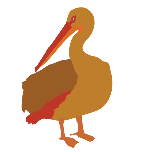 508x508 Beak Bird Brown Pelican Clip Art
