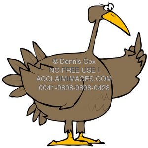 300x300 Clipart Illustration Turkey Bird