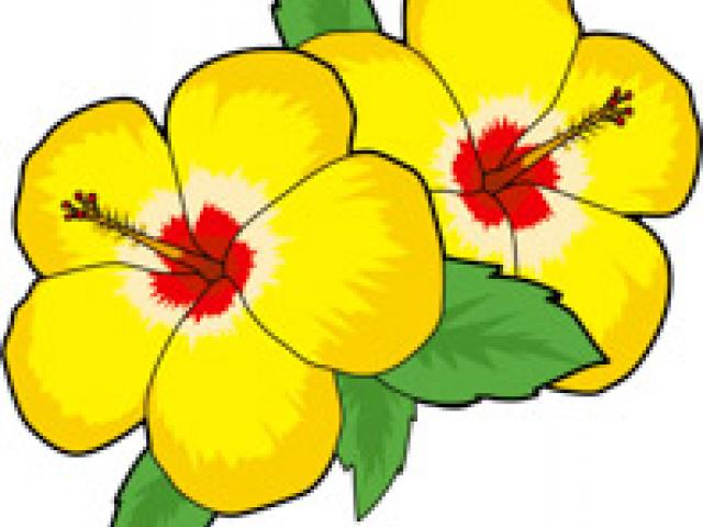 640x480 Social Studies Clipart Free Download Clip Art