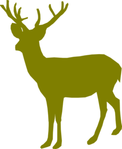243x297 Deer Blackout