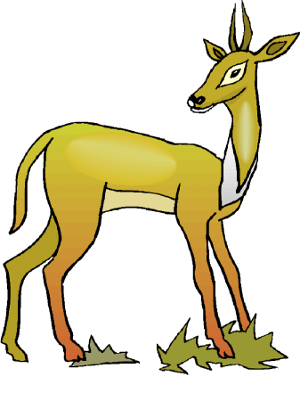 337x450 Buck Clipart Gazelle