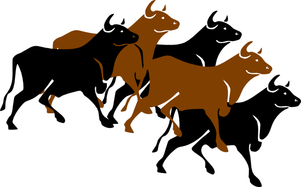 600x373 Bulls Clipart