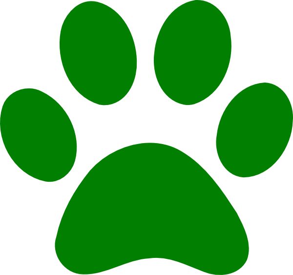 600x563 Wildcat Clipart Badger