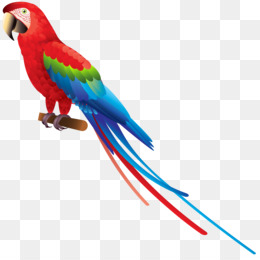 260x260 Parakeet Png And Psd Free Download