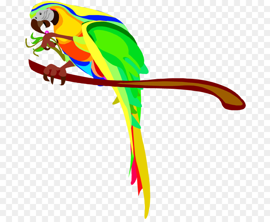 900x740 Parrot Bird Macaw Clip Art
