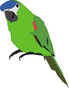 231x297 Totetude Parrot Green Clip Art
