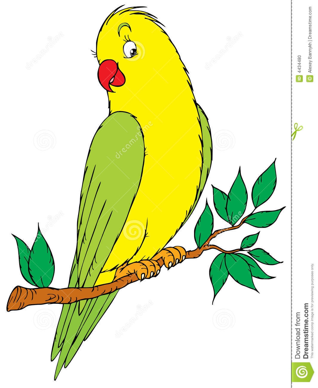 Budgie Clipart at GetDrawings | Free download