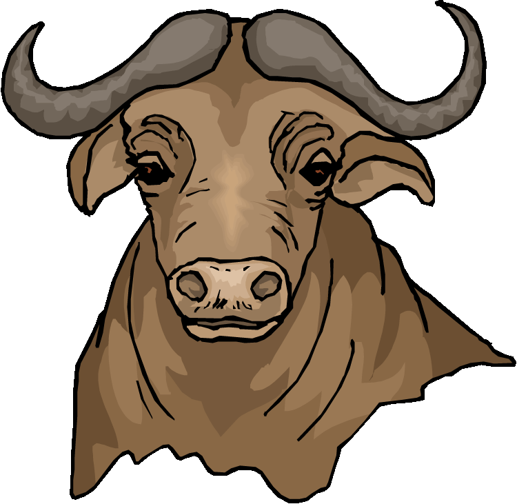 750x731 Free Buffalo Clipart