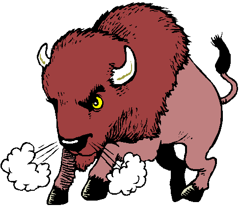 491x419 Angry Buffalo Clipart Image