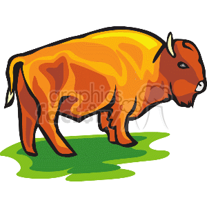 300x300 Royalty Free Gif 4 Bison 132142 Clip Art Images, Illustrations