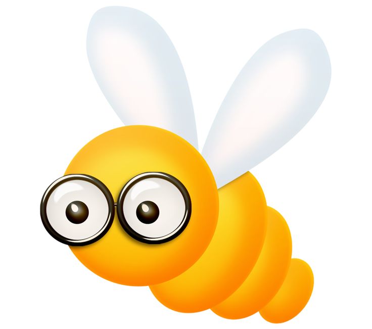 736x651 138 Best Bug Images On Insects, Clip Art And Beautiful