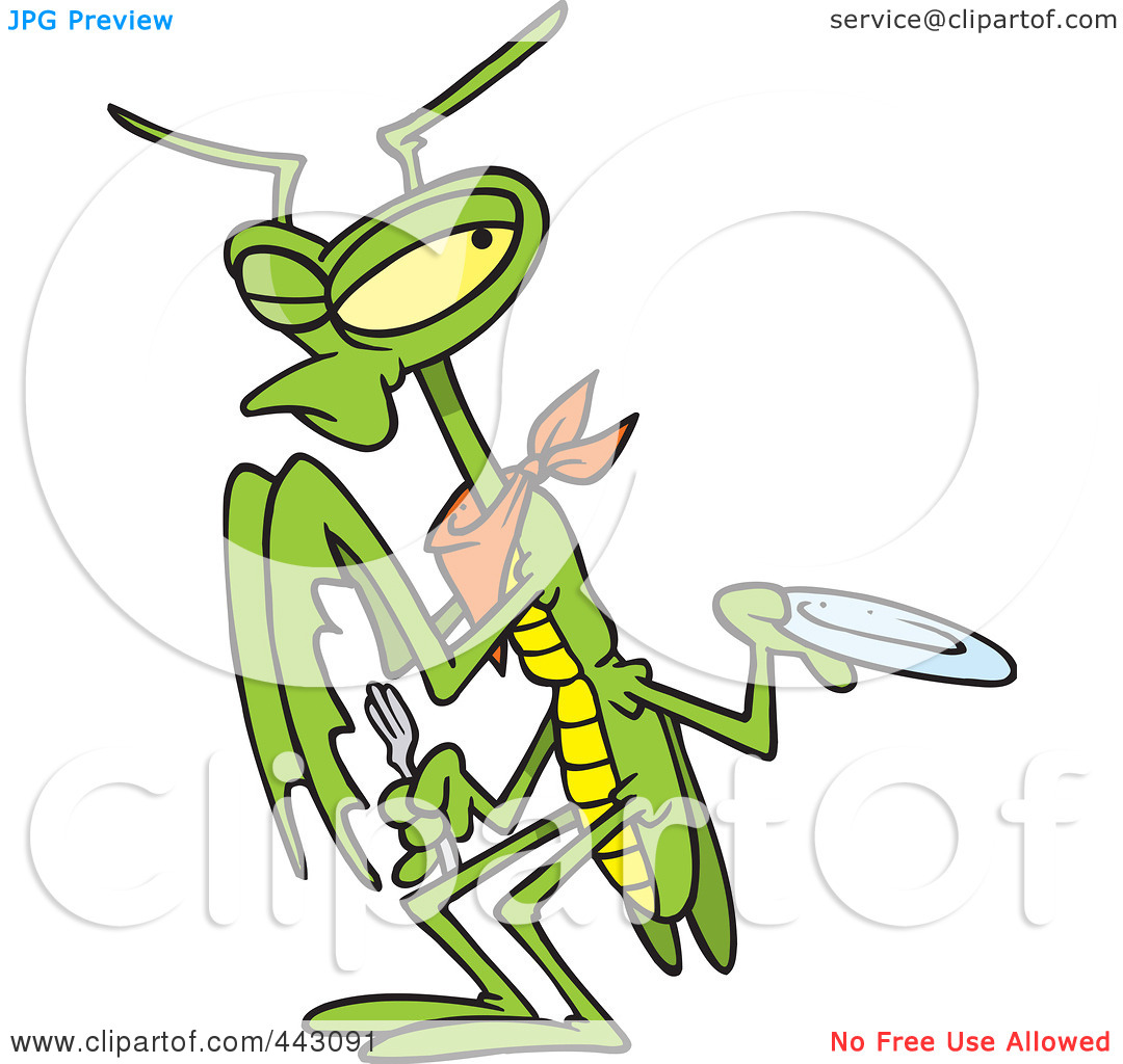 1080x1024 Top 93 Praying Mantis Clipart