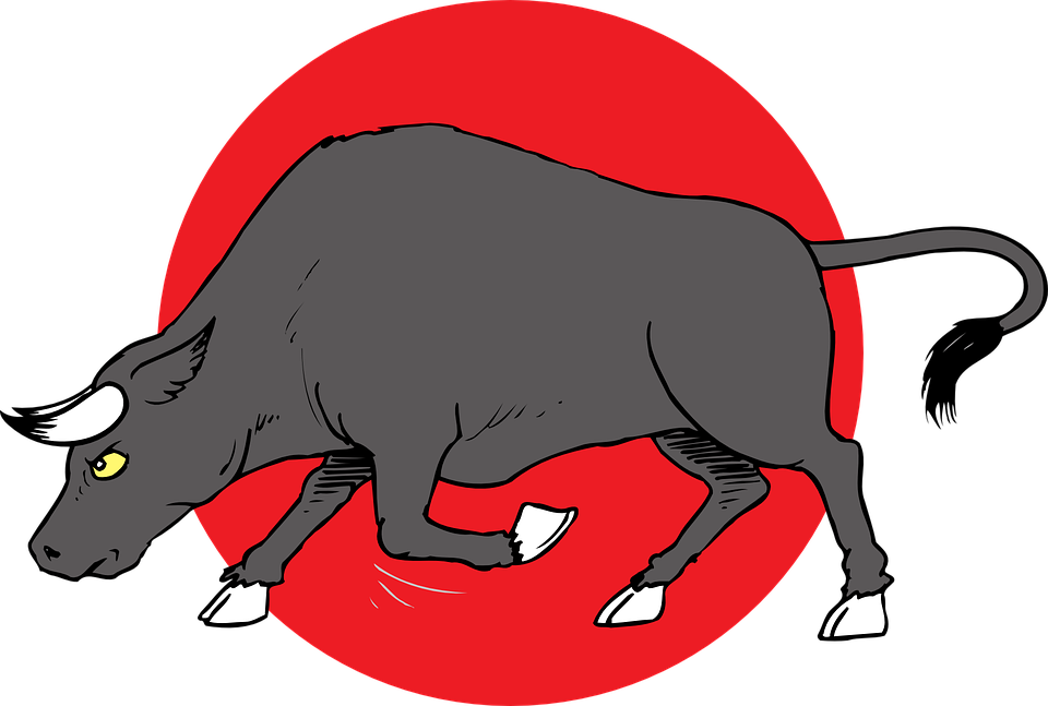 960x647 Bulls Clipart Bull Horn