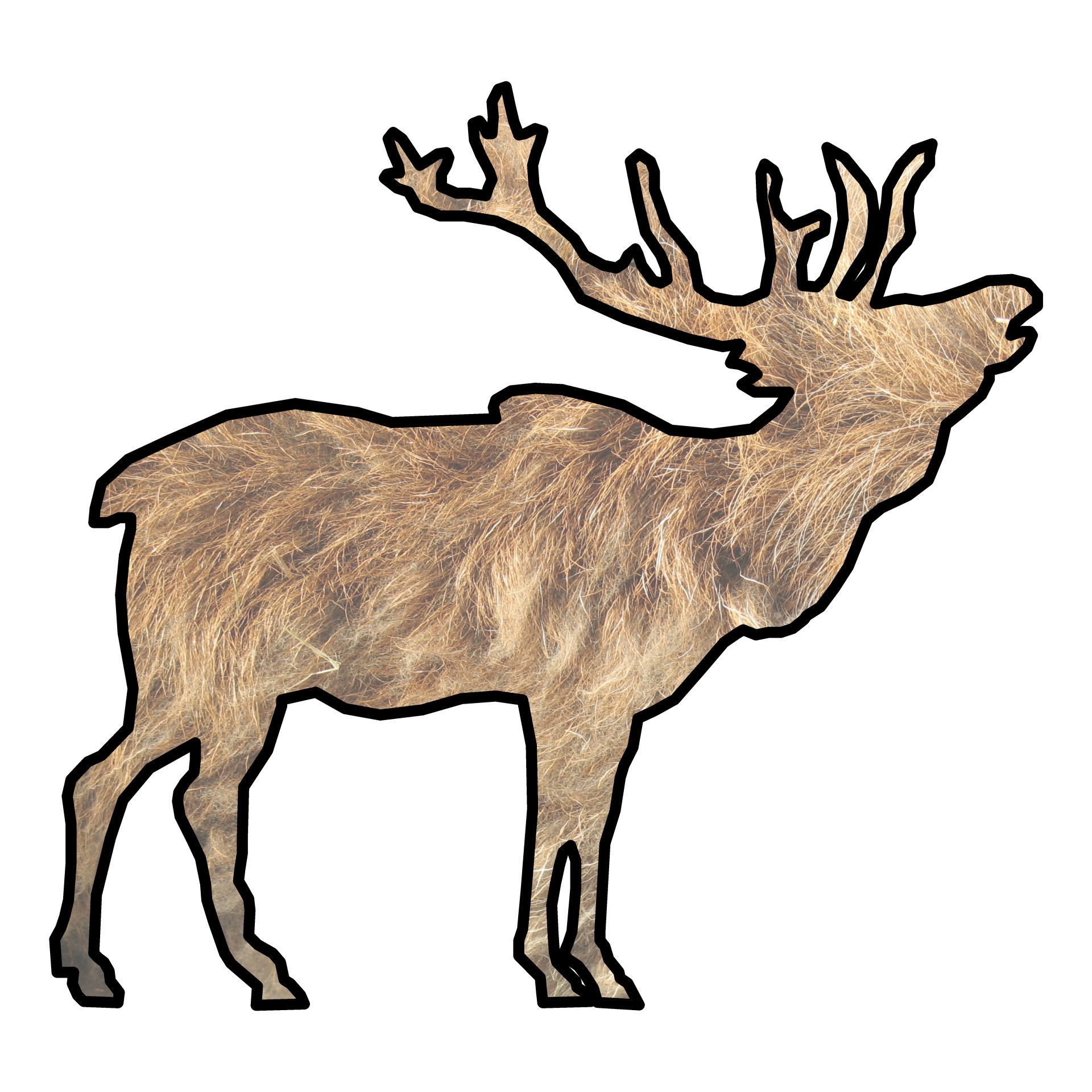 1920x1920 Elk Silhouette