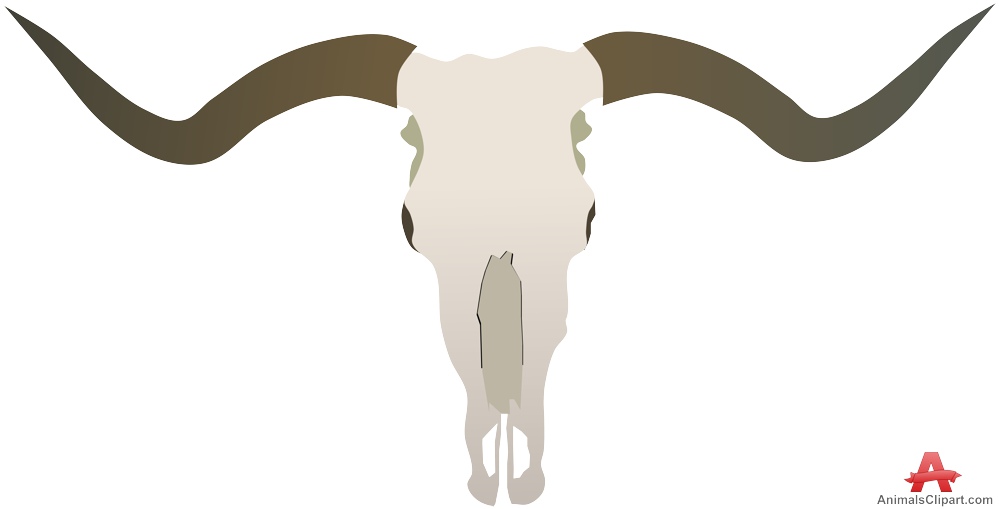 999x509 Collection Of Bull Horns Clipart High Quality, Free Cliparts