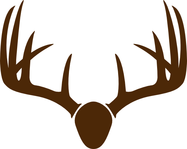 600x478 Brown Deer Skull Mount Clip Art