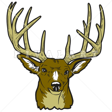 361x361 Buck Clipart Elk Head