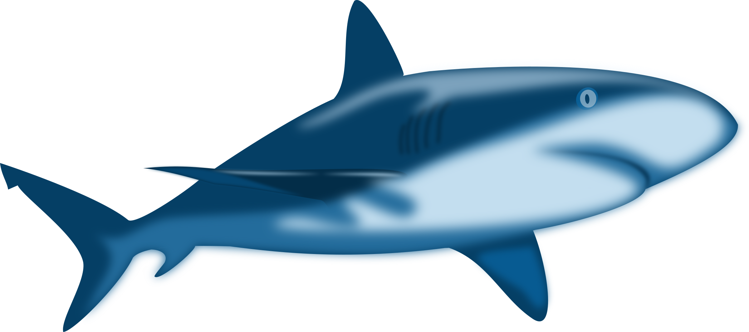 2400x1064 Shark Shaded Icons Png