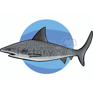 300x300 9982 Animals Clip Art Amp Graphics