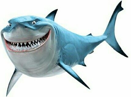 428x317 Bruce The Great White Shark Alice And Mad Hatter Shark