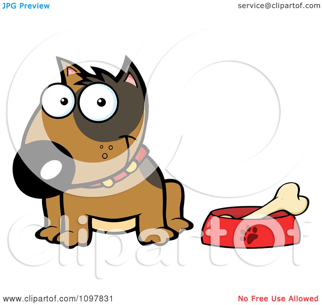1080x1024 Clipart Happy Brown Bull Terrier Sitting By A Dish With A Bone