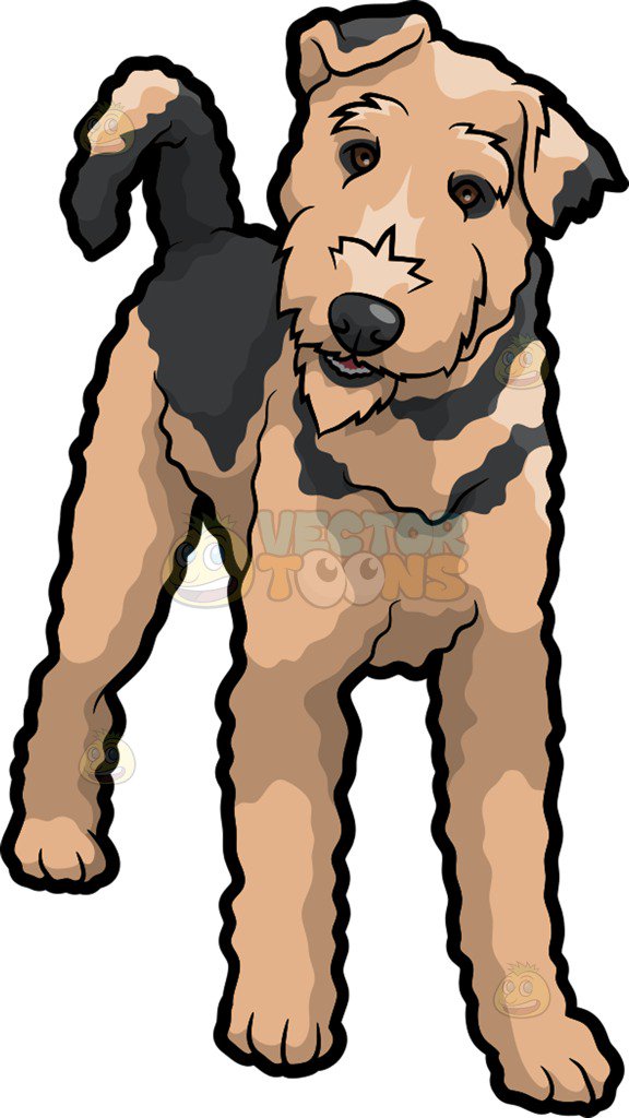 576x1024 Airedale Terrier Cliparts Free Download Clip Art