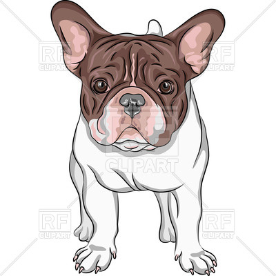 400x400 Closeup Portrait Of Dog