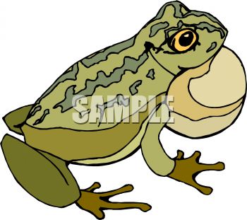 350x311 Bullfrog With Filled Airsac