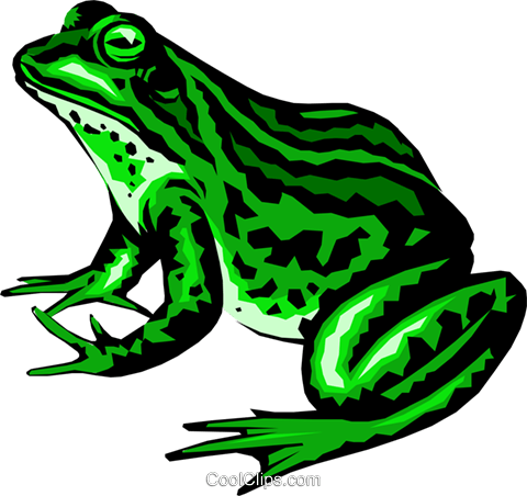 480x452 Frog Royalty Free Vector Clip Art Illustration Anim0220