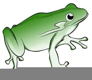 300x263 Bullfrog Clipart Hat Free Images