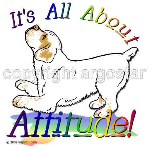 509x509 Clumber Spaniel Shop