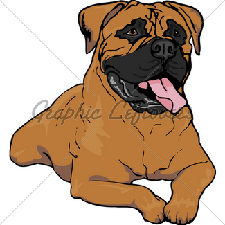 325x325 Neopolitan Mastiff Grey Gl Stock Images