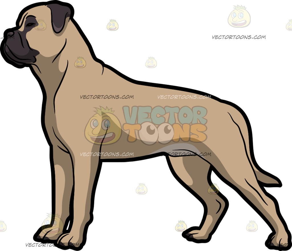 1024x881 A Bull Mastiff Show Dog Cartoon Clipart Vector Toons