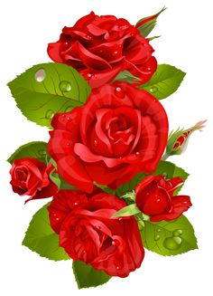 236x327 Transparent Rose Bouqet Red Clipart Png Image