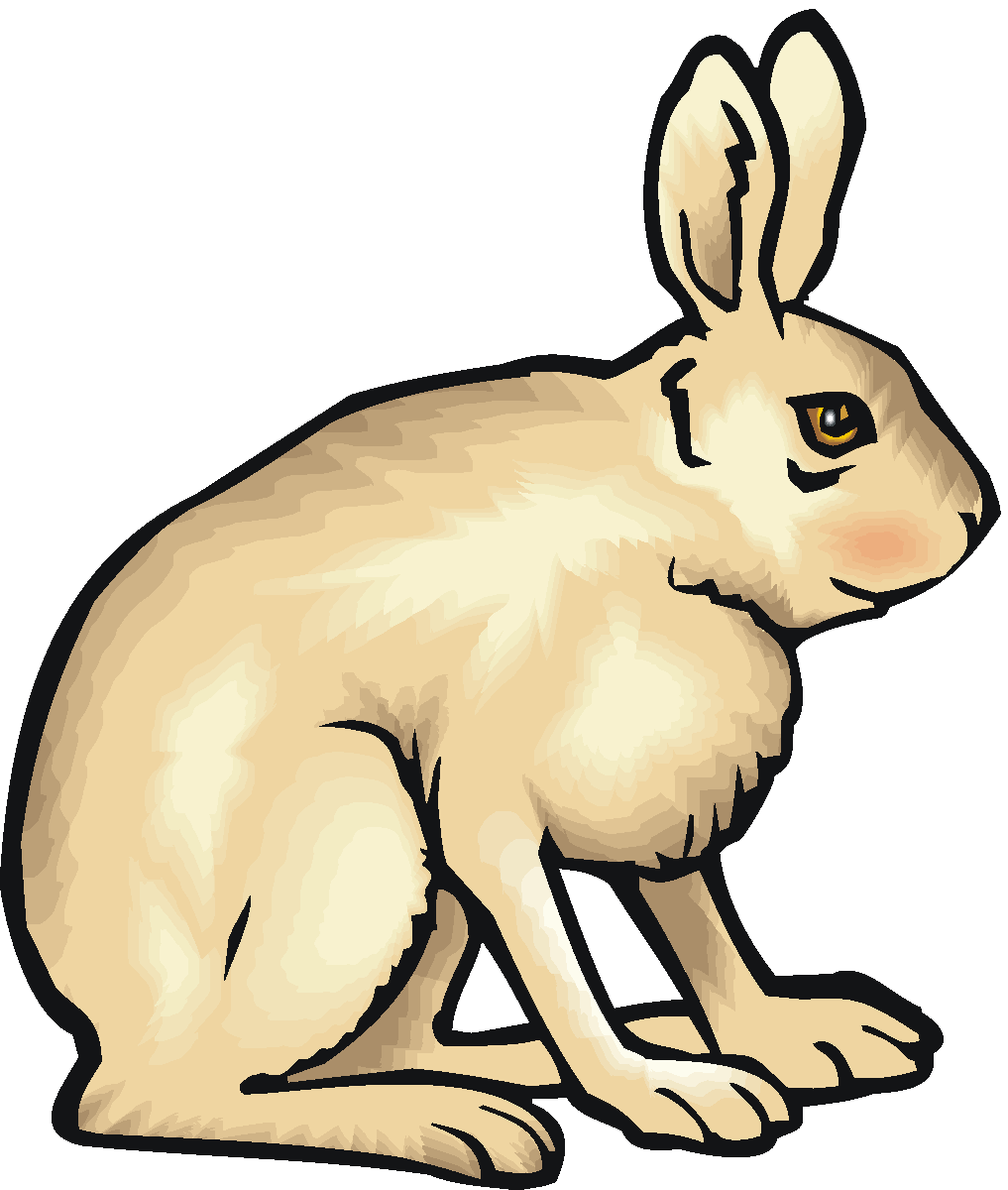 1017x1200 Bunny Clipart Hare