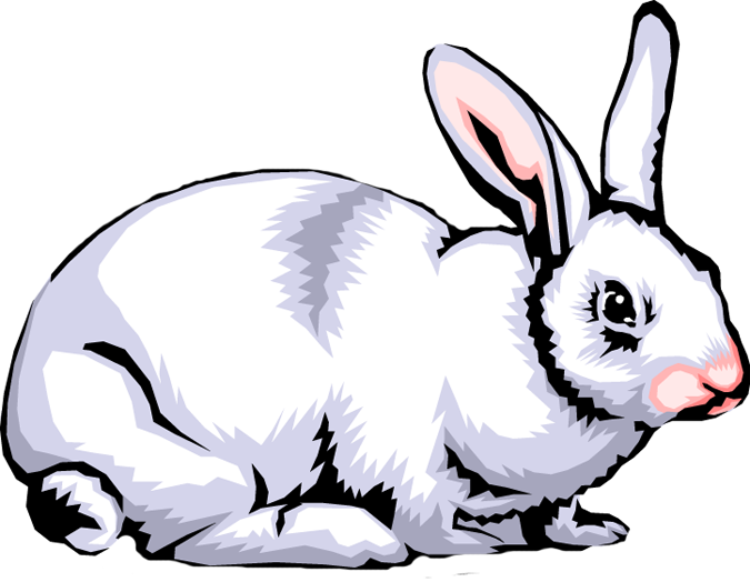 675x524 Rabbit Clip Art Images Clipart Panda