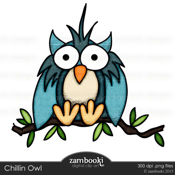 570x570 12 Best Owl Clip Art Images On Owl Clip Art, Owls