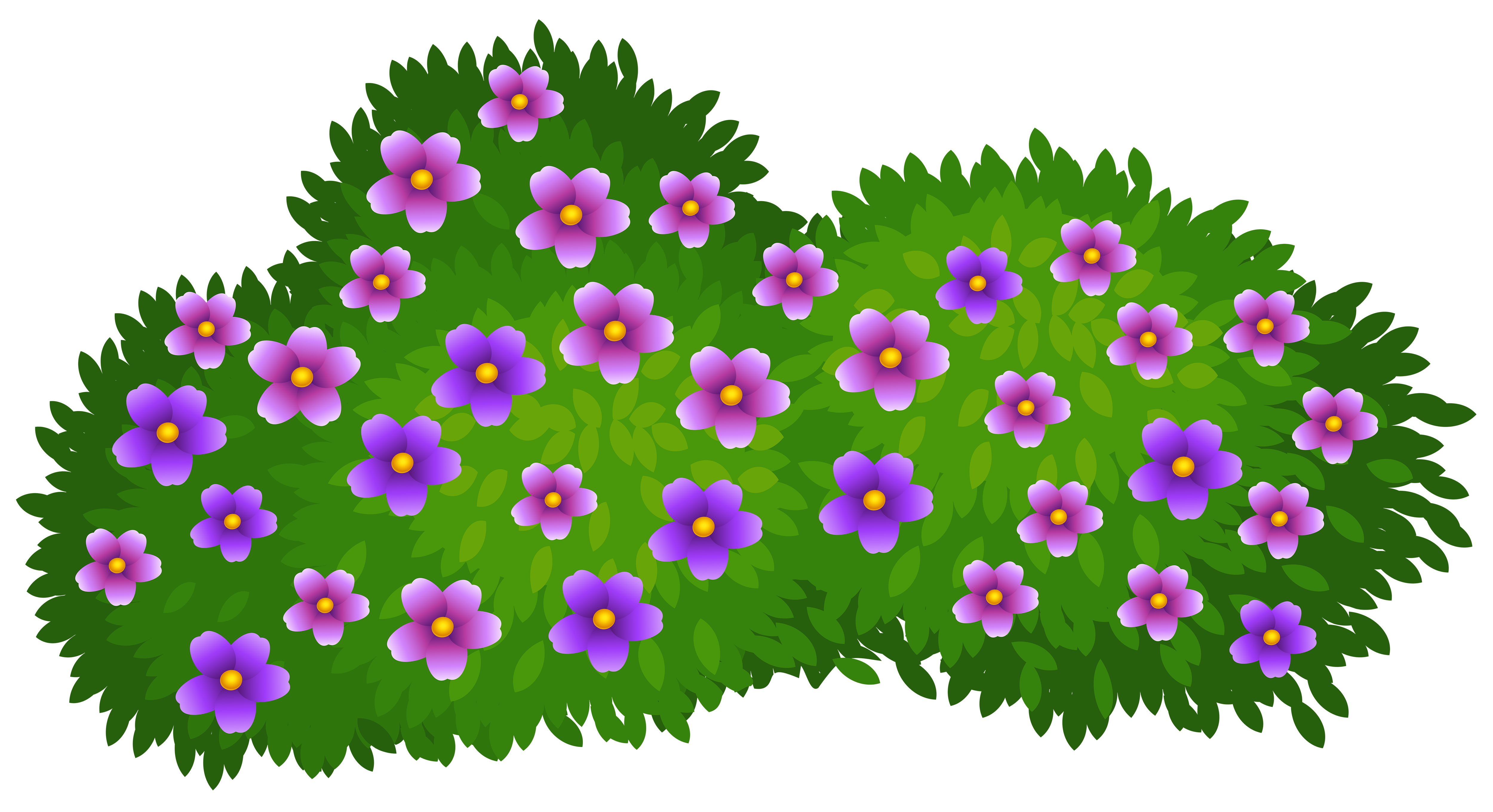 5000x2720 Green Bush With Flowers Transparent Png Clip Art Imageu200b Gallery