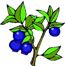 220x218 Top 91 Blueberry Clip Art
