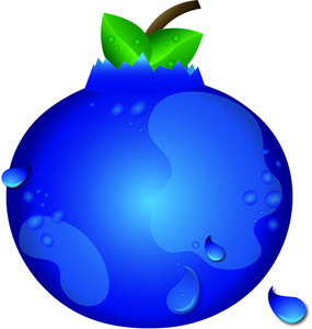 285x300 Blueberry Clipart Blueberry Bush