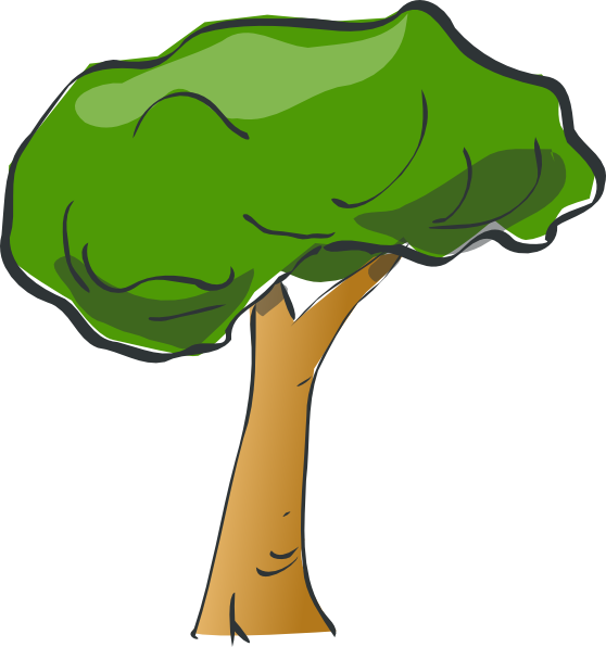 558x596 Bush Clipart Rainforest Tree